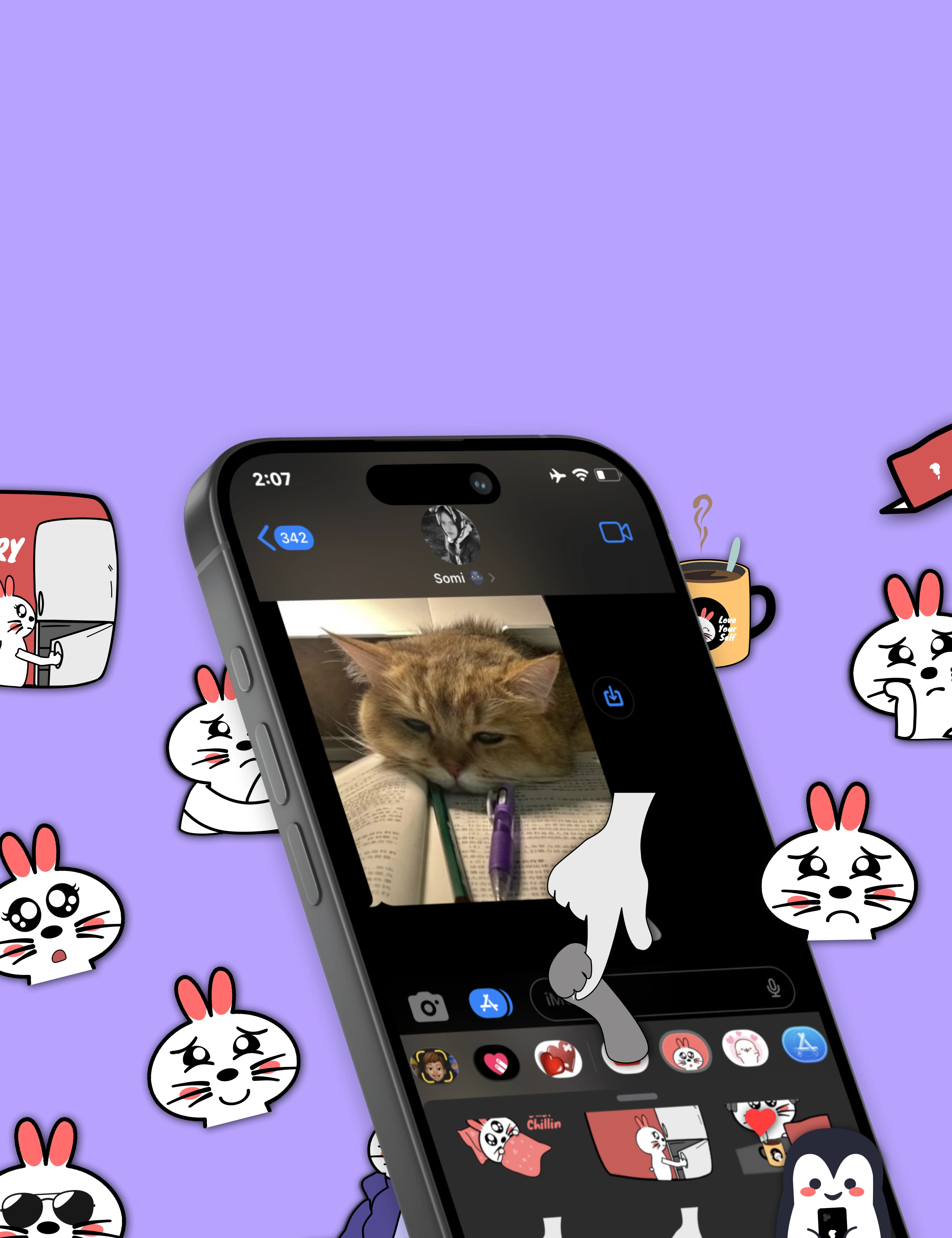 Nubbi sticker preview inside an iMessage conversation